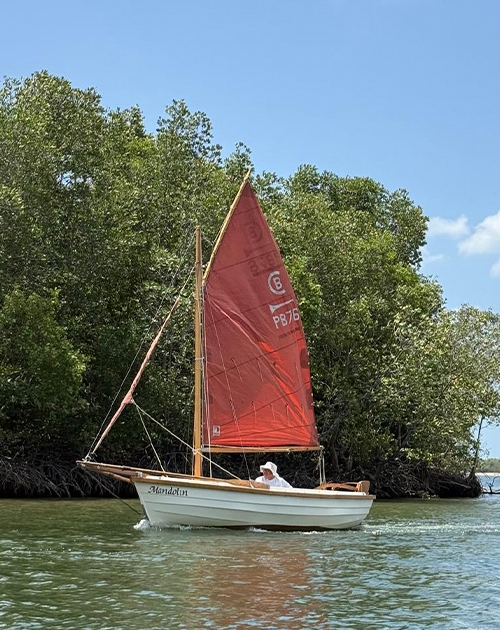 Post Boat sailing beside dense mangroves in calm Krabi water